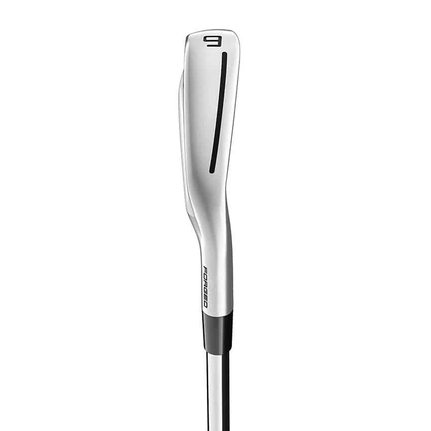 TaylorMade P790 Golf Irons